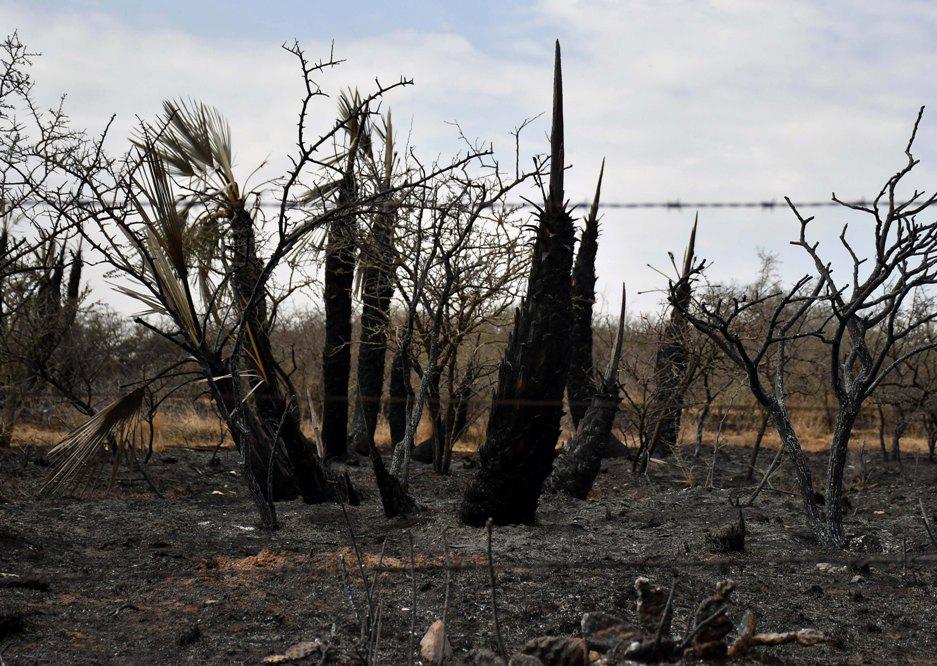 incendios en el norte provincial by Télam