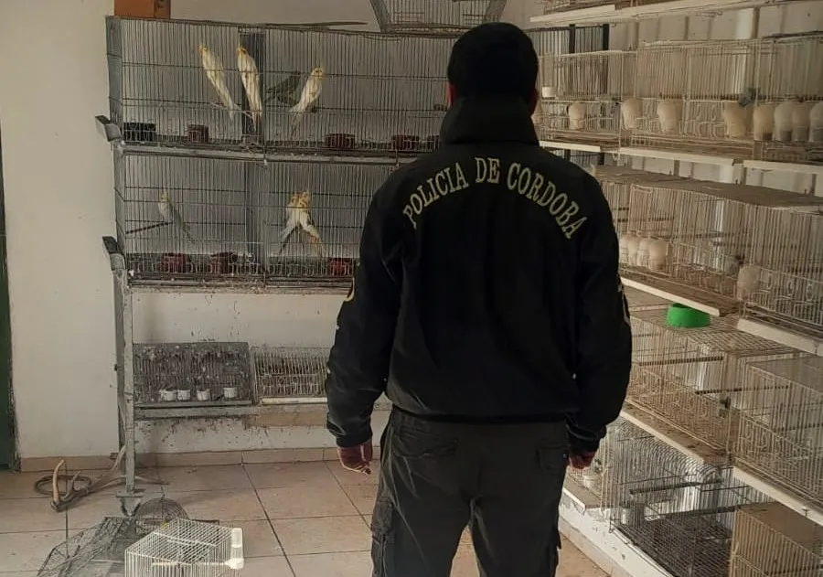 Allanamiento por maltrato animal en Villa Unión (Policía) 2