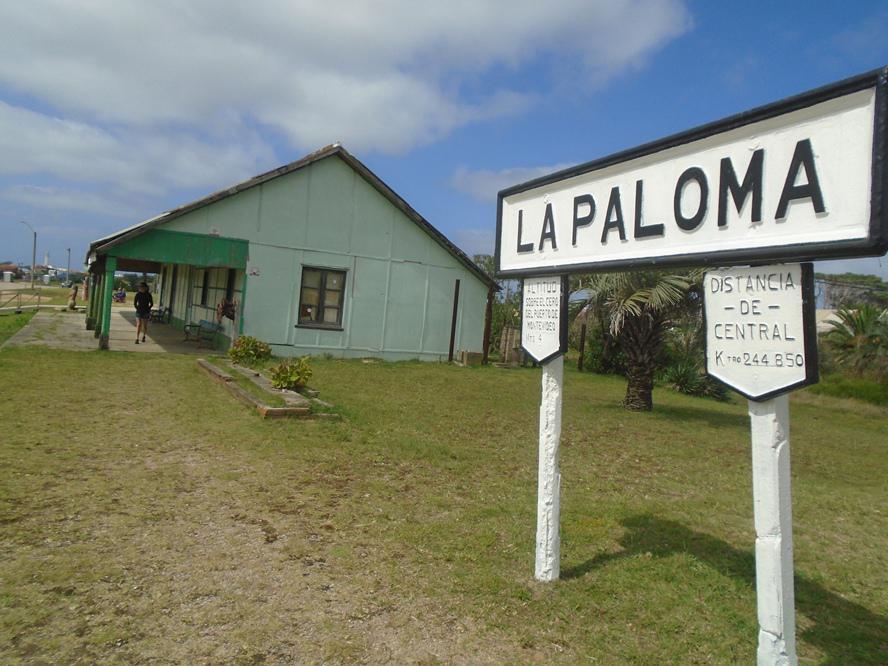 La Paloma by Adrian Camerano