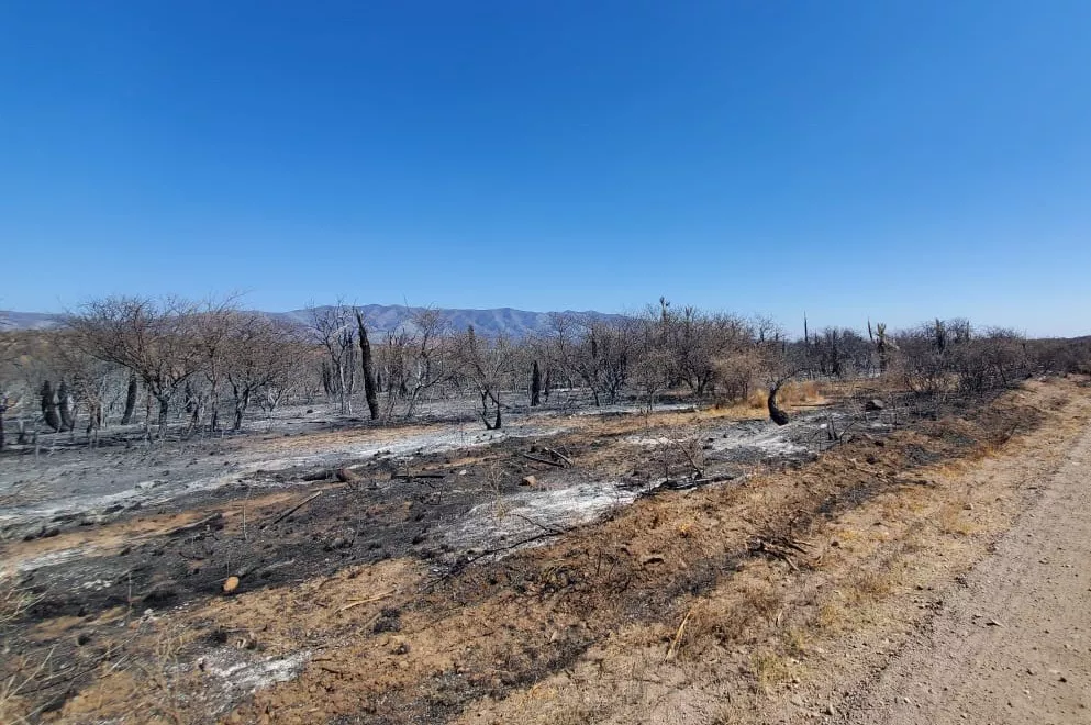 Incendios en Traslasierras (Gobierno de Córdoba)