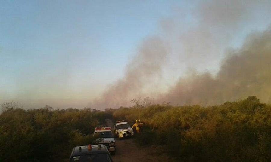 Bomberos