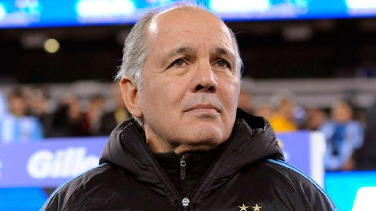Sabella
