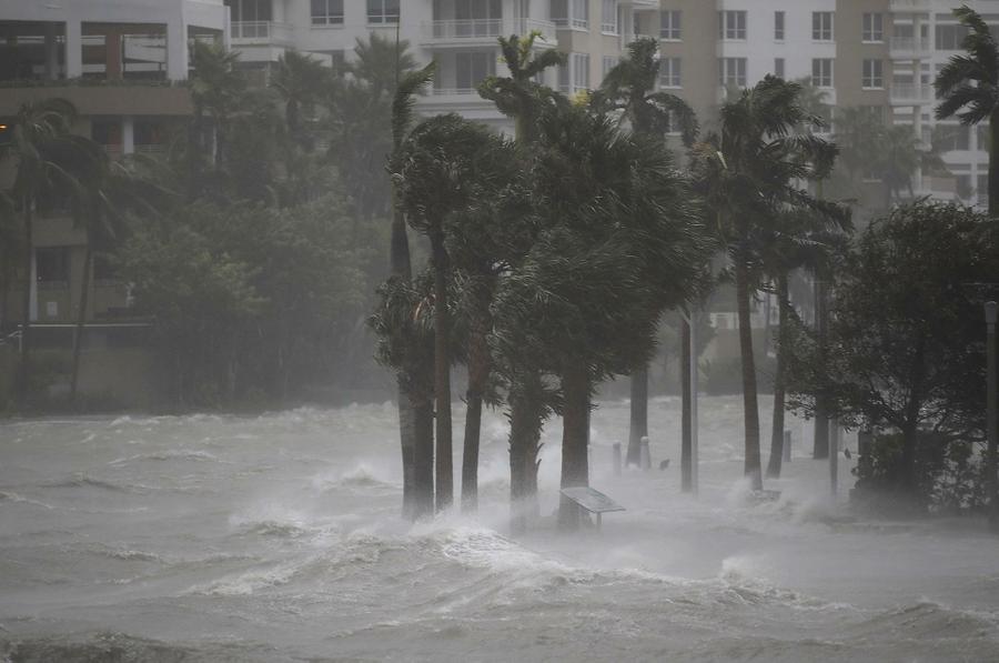 Galeria-Huracan-Irma-Miami-3