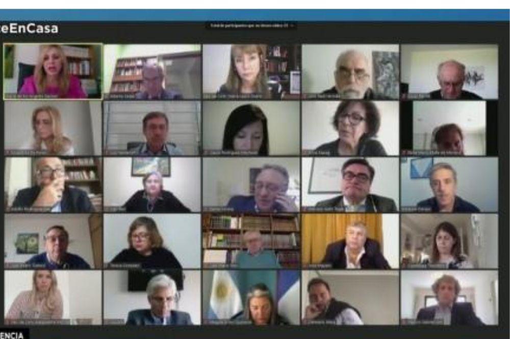 Sesion virtual sesion Senado discusion reforma judicial