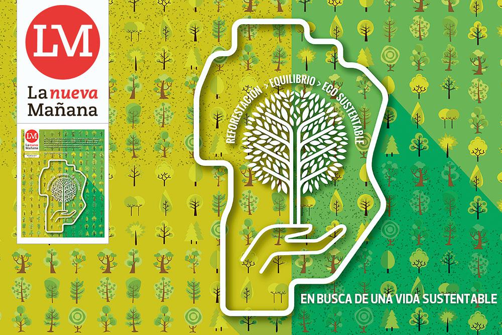 Suple 22 - Vida Sustentable XII - Sum