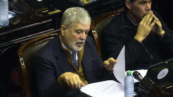 Julio De Vido