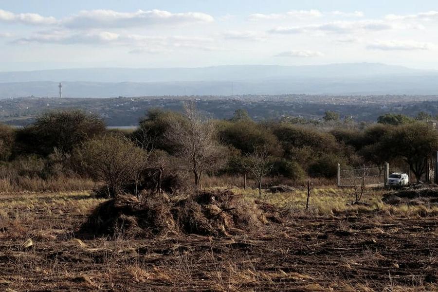 desmontes @proyecto verde
