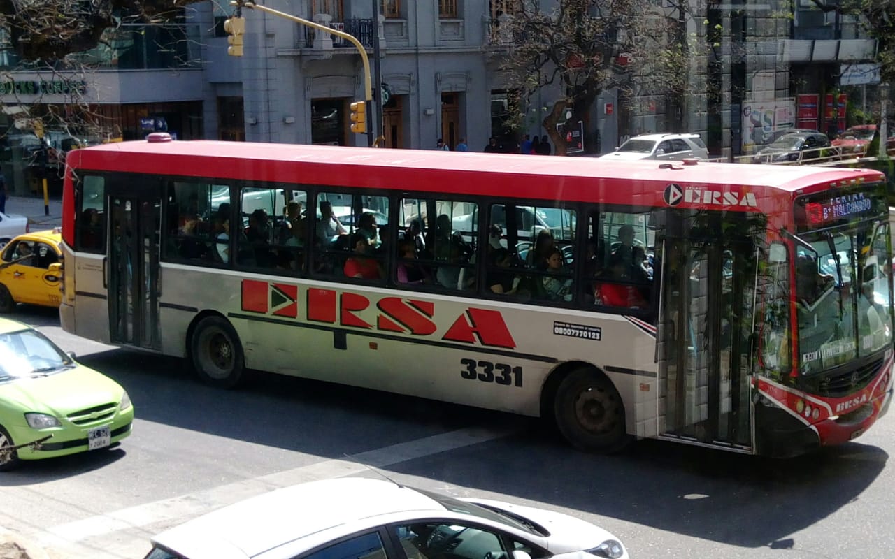 Colectivos