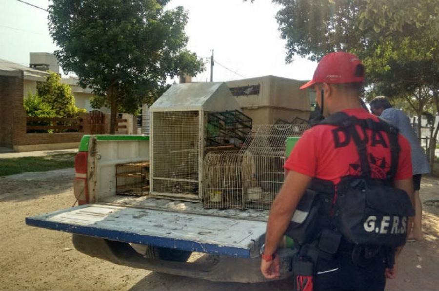 policia-ambiental