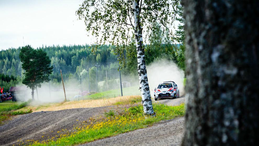 wrc