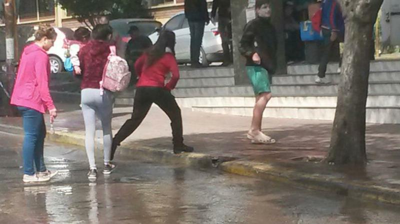 cloacas