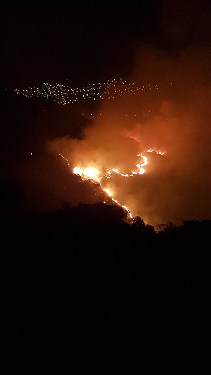 incendio Cerro Mogote2