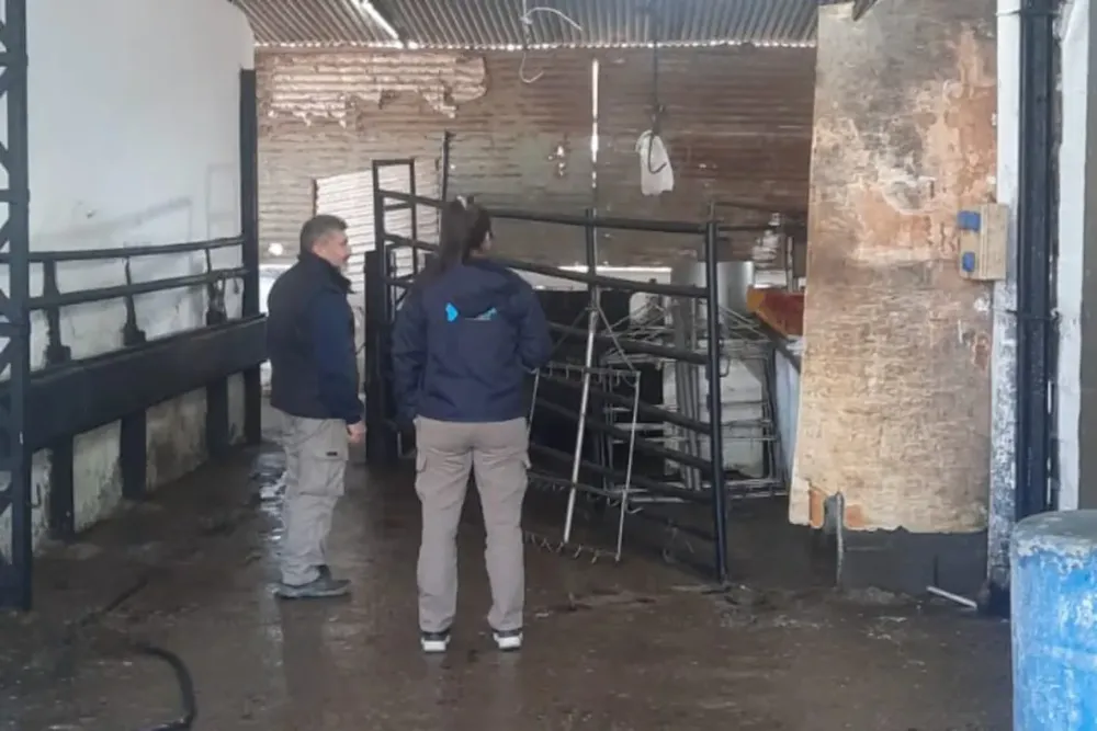 Frigorífico clausurado en Villa Nueva