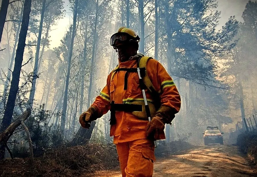 Incendio forestal (Gobierno de Córdoba) 5