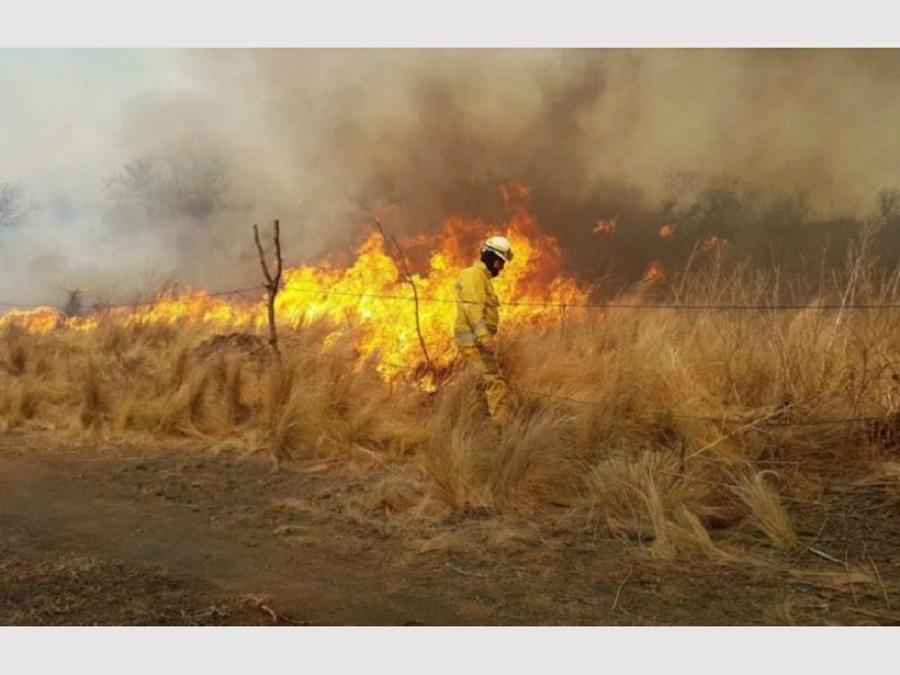 incendio Gutemberg - E loza