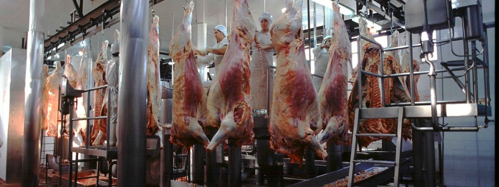 carne vacuna