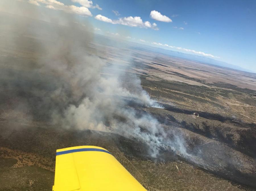 incendio las palmas