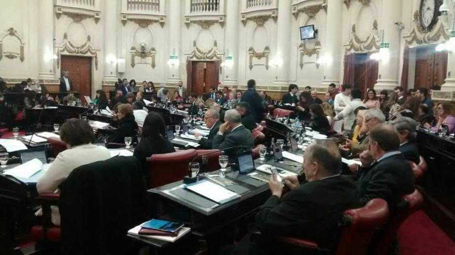 Debate ley agroforestal