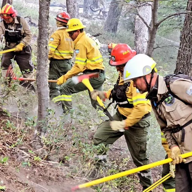 Incendio Parque Nacional Los Alerces (Gobierno de Chubut)