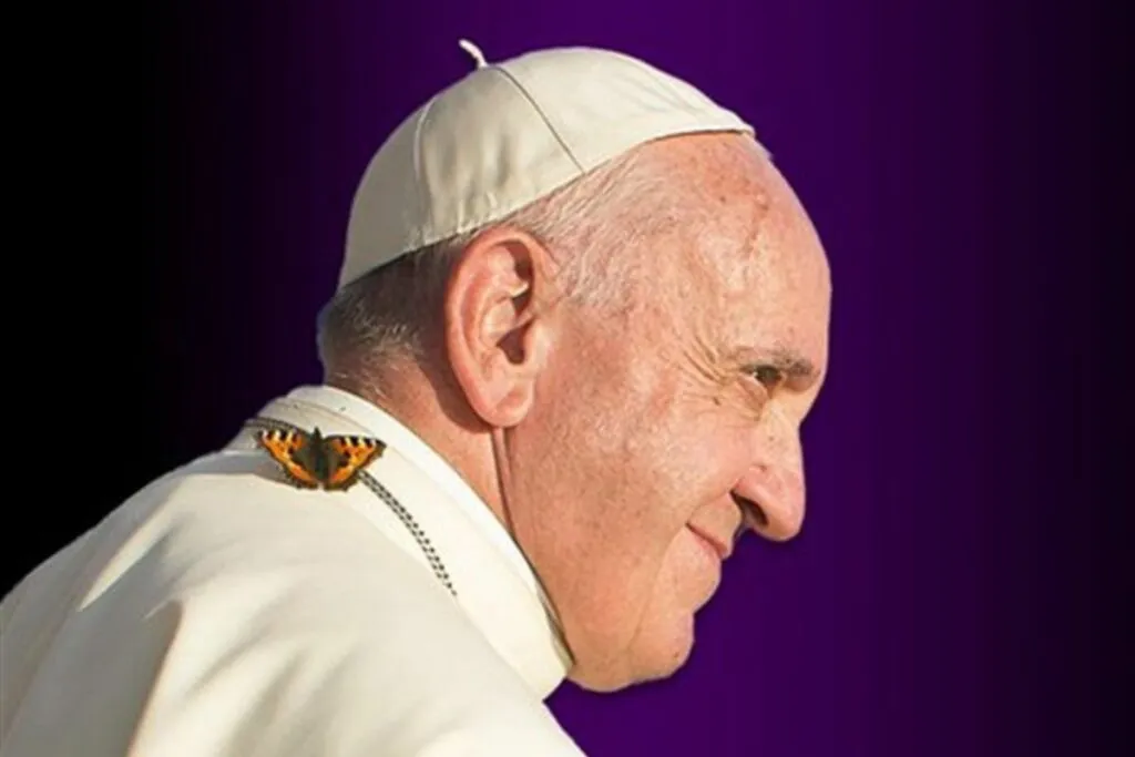 papa francisco mariposa