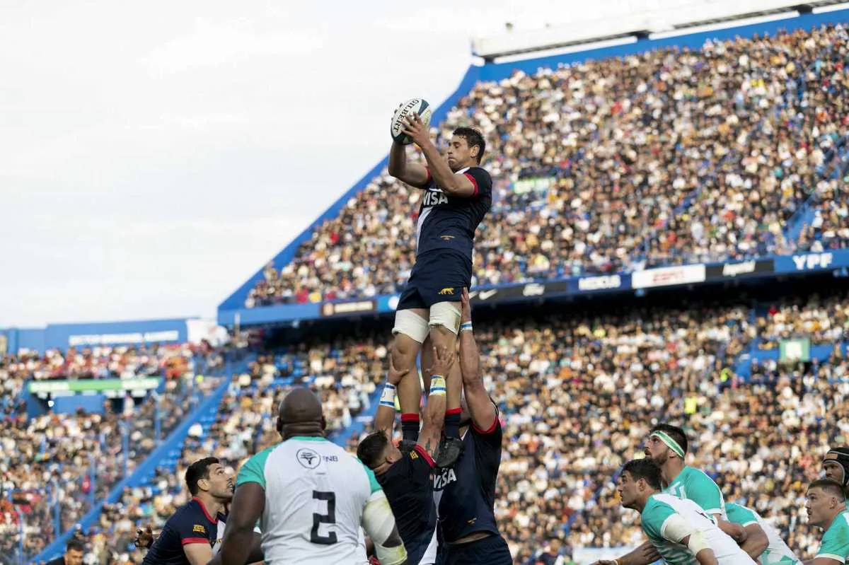 los pumas