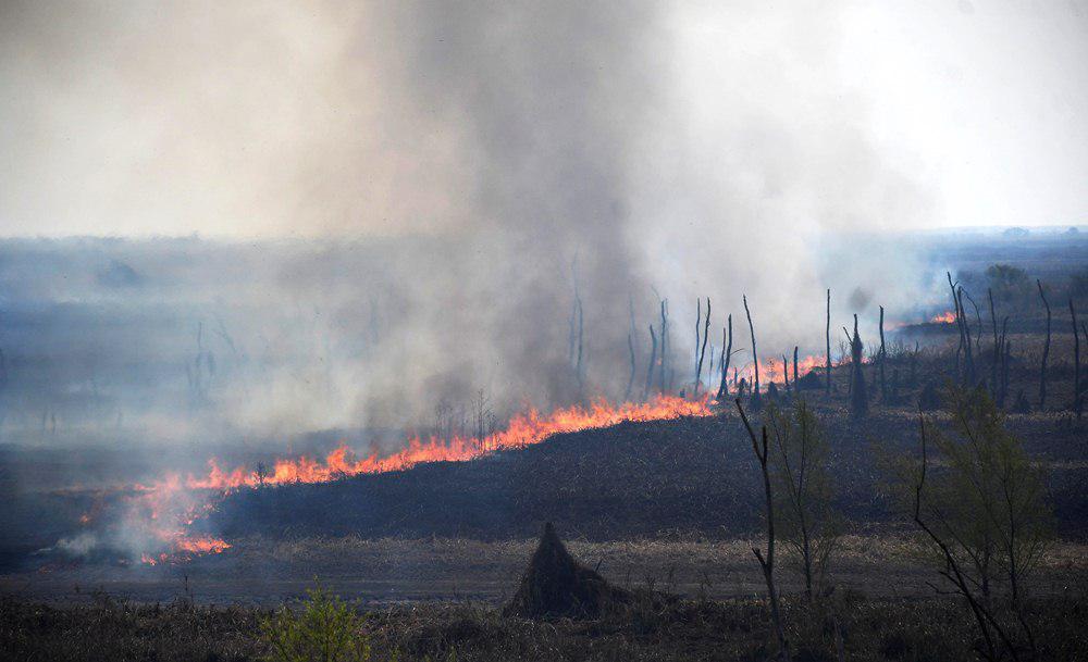 incendio islas delta by Télam
