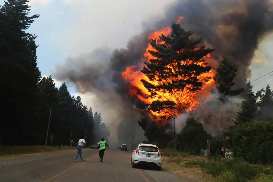 Incendio en Epuyén (NA)