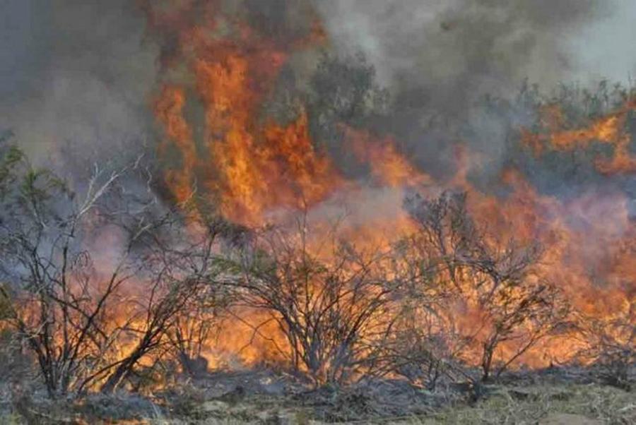 mendoza incendios @diariouno