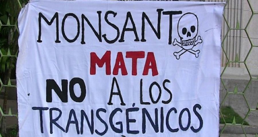 monsanto-mata-620x330