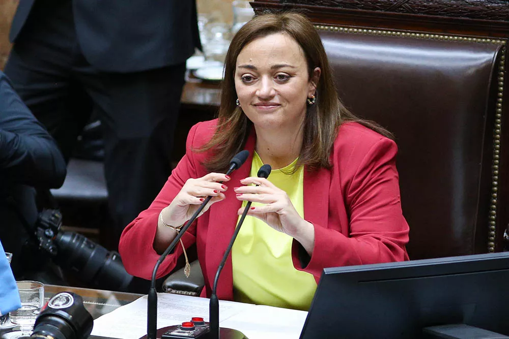Moreau diputados © NA