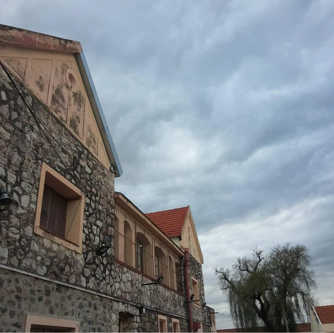 Escuela chico atacado con una trinchetaFoto: gentileza