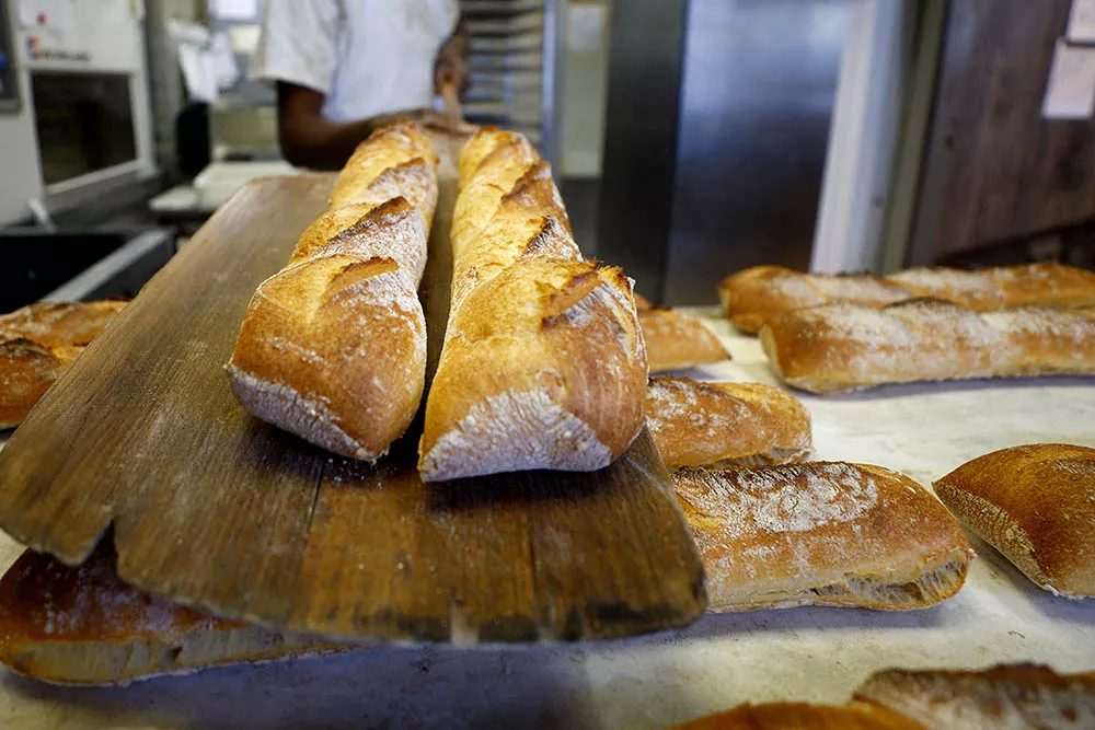 panaderia