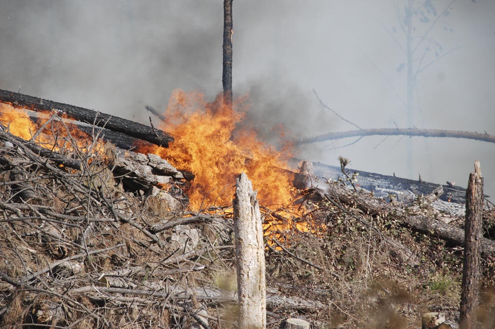 Incendios_3724