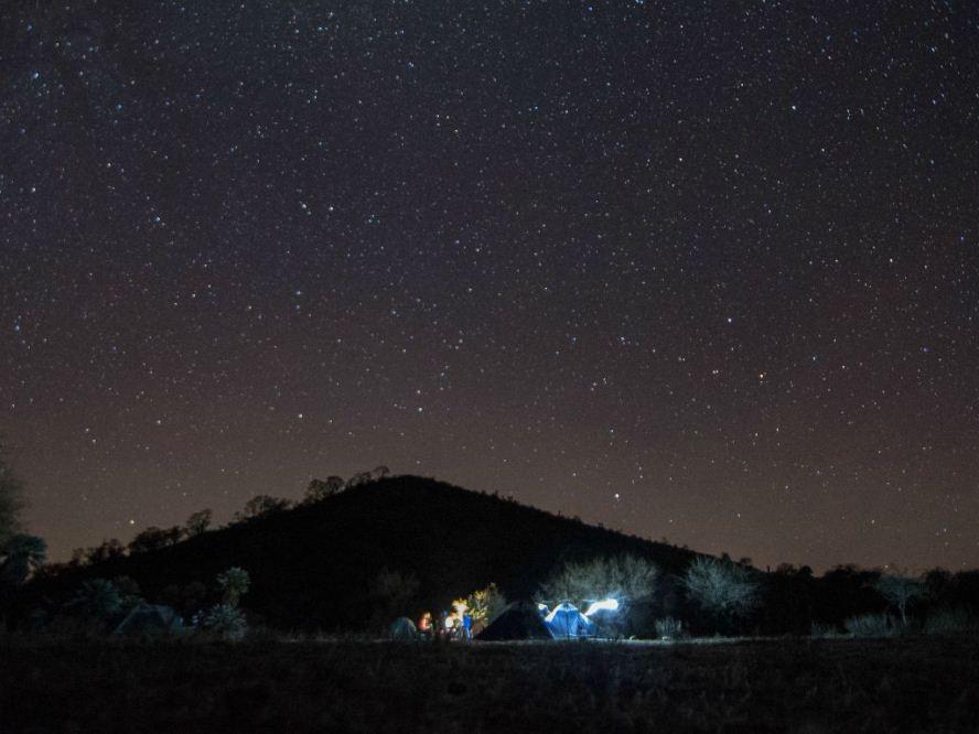 36.-Noches-de-Pocho