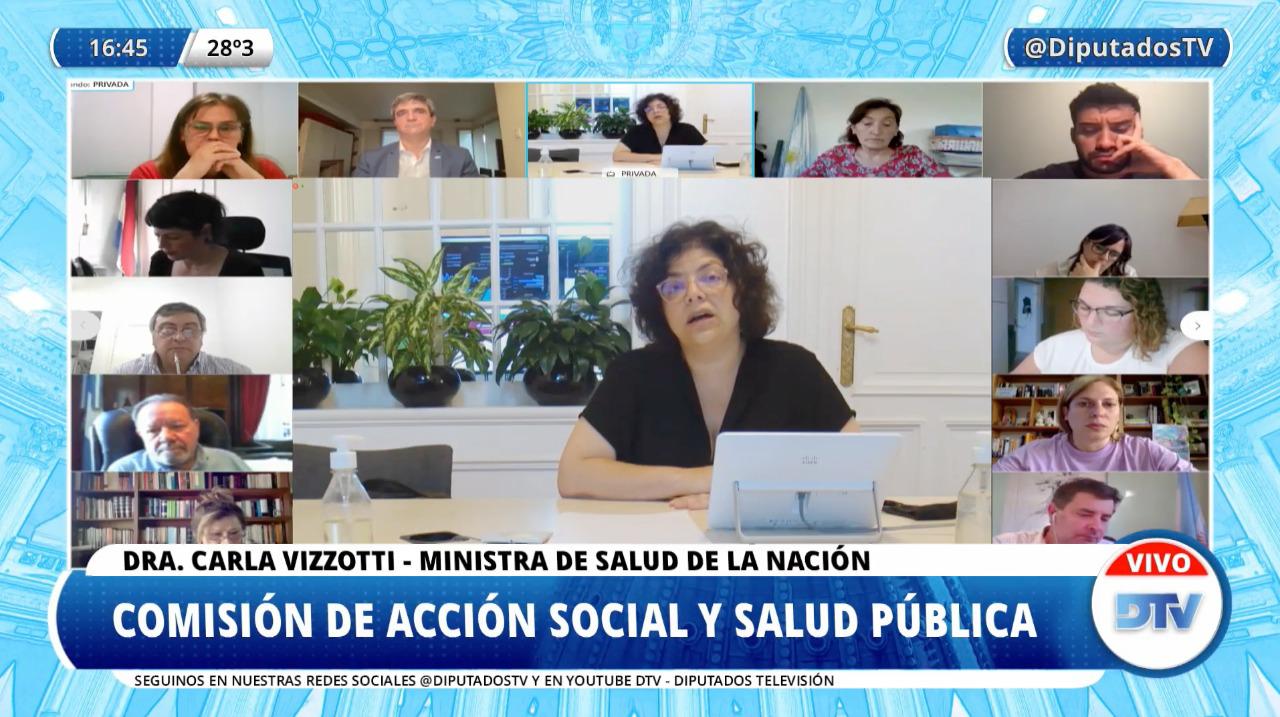 Vizzotti en Diputados