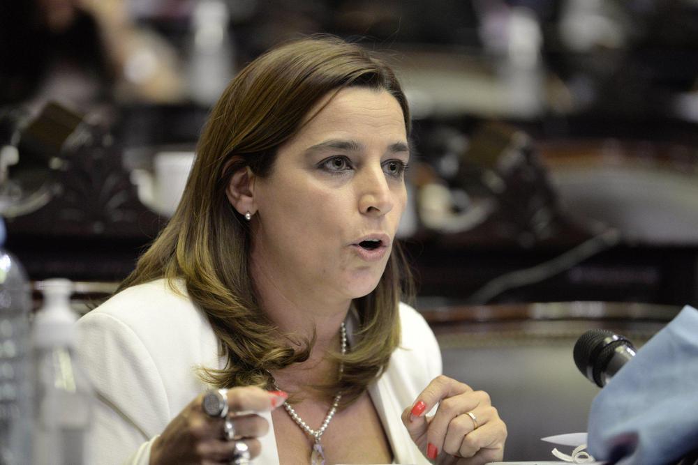 Soledad Carrizo prensa Diputados