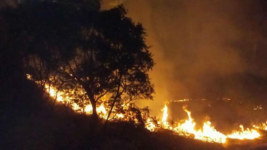 incendio Parque Sarmiento