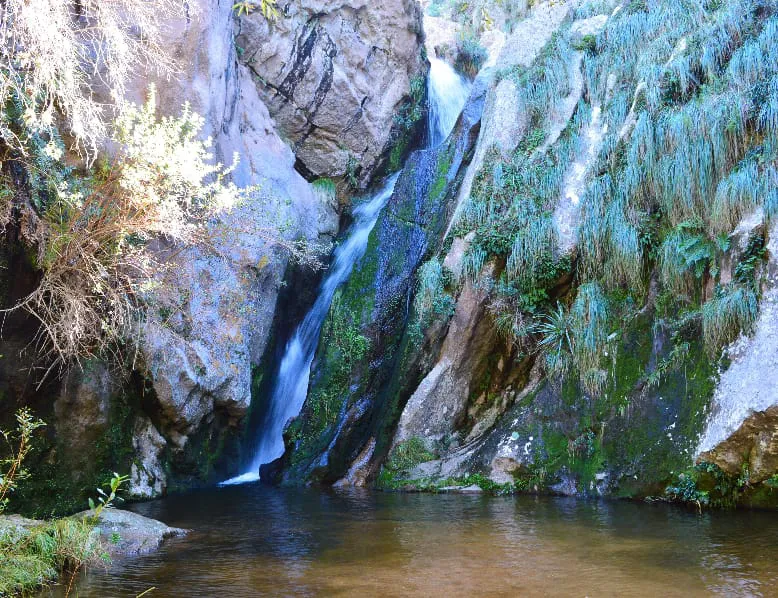 fuente del caminante 2 web
