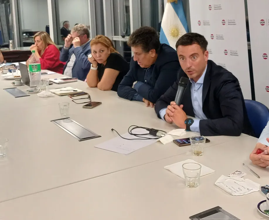 Diputados radicales (X de Diputados UCR)