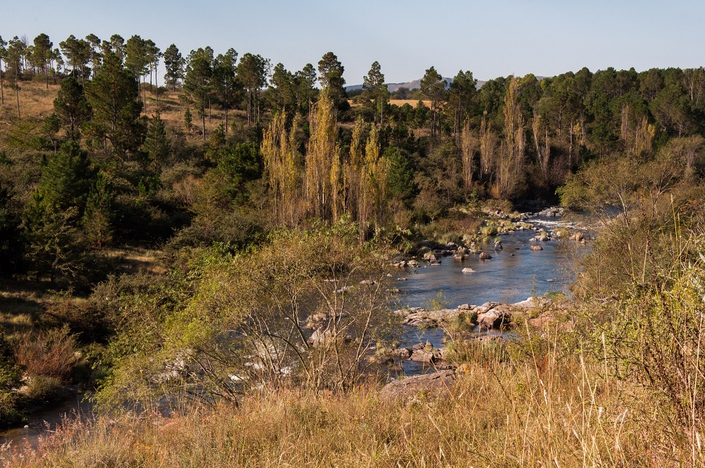 los reartes
