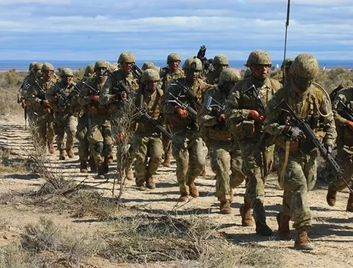 fuerzas seguridad