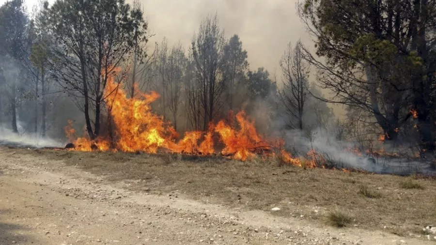 incendio salta