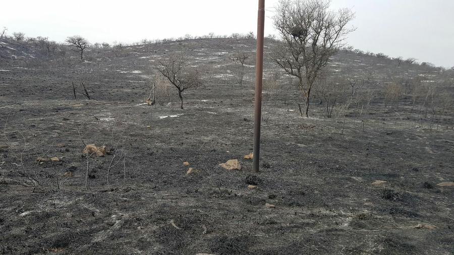 Incendios cenizas by @FuegoCba
