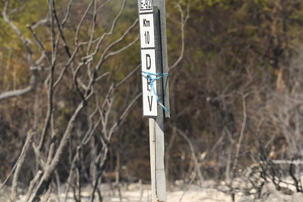 incendio san marcos (4)