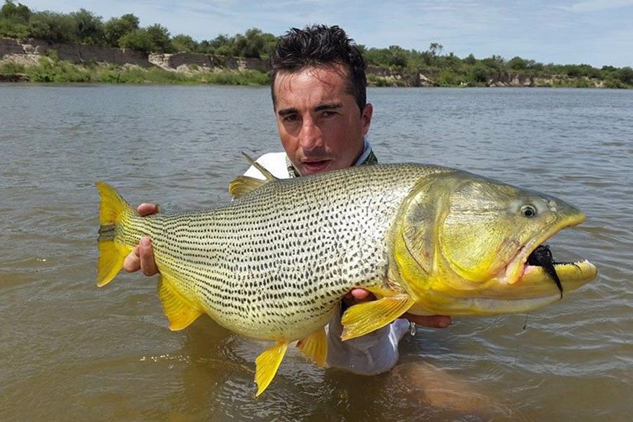 paco garcia
