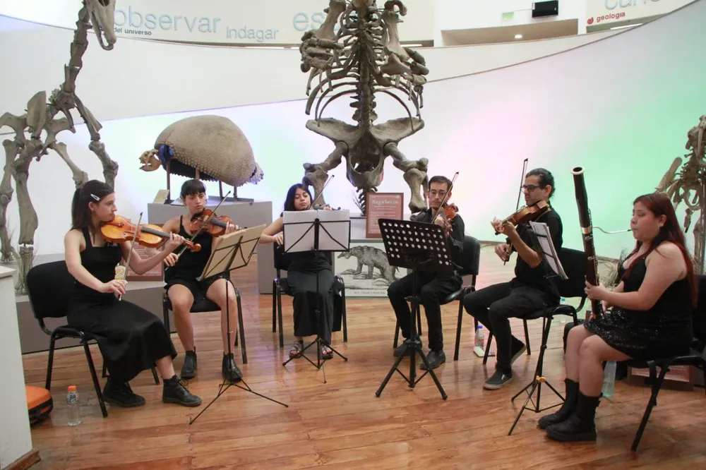 cultura by gob