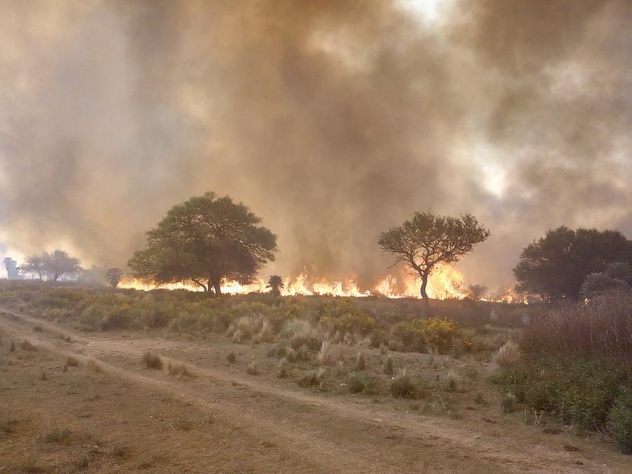 bomberos fuego incendio Diego Concha 06