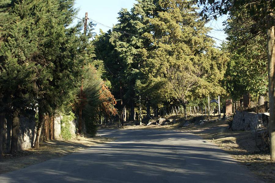 DSC04375