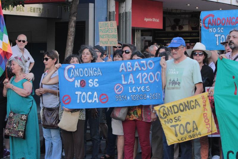 Marcha ley de bosques 1