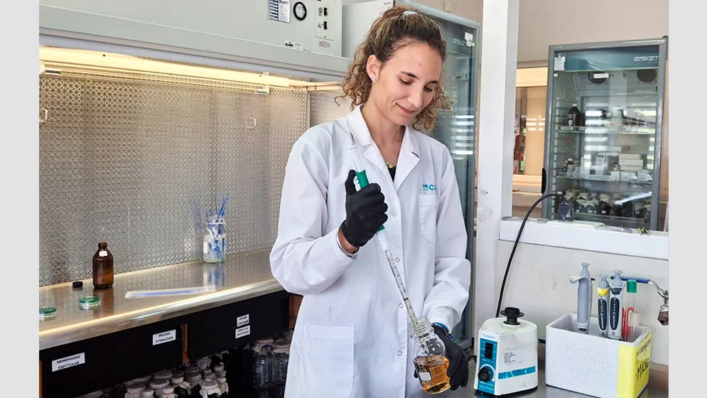 Científicos del Conicet descubren que la piel de maní inhibe el dengue (Conicet)